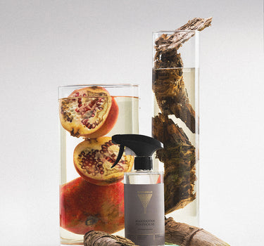 Bathroom cleaner Manhattan Penthouse