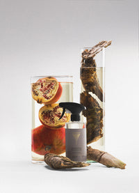 Bathroom cleaner Manhattan Penthouse