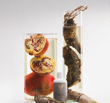 Floor cleaner Manhattan Penthouse