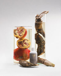 Floor cleaner Manhattan Penthouse