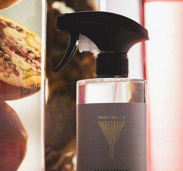 Kitchen cleaner Manhattan Penthouse