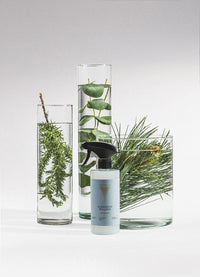 Bathroom cleaner Marrakech Wellness