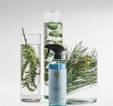 Allesreiniger Marrakech Wellness