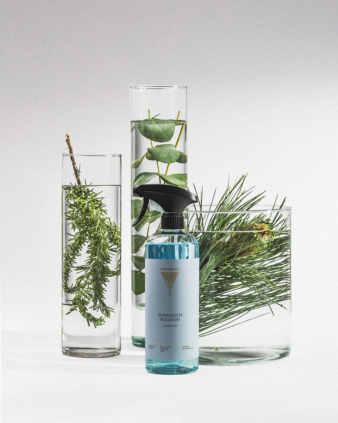 Surface cleaner Marrakech Wellness