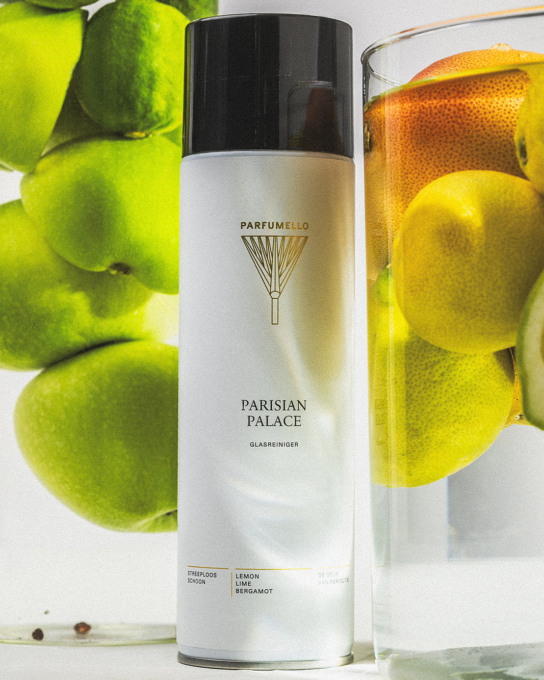 Glass cleaner Parisian Palace