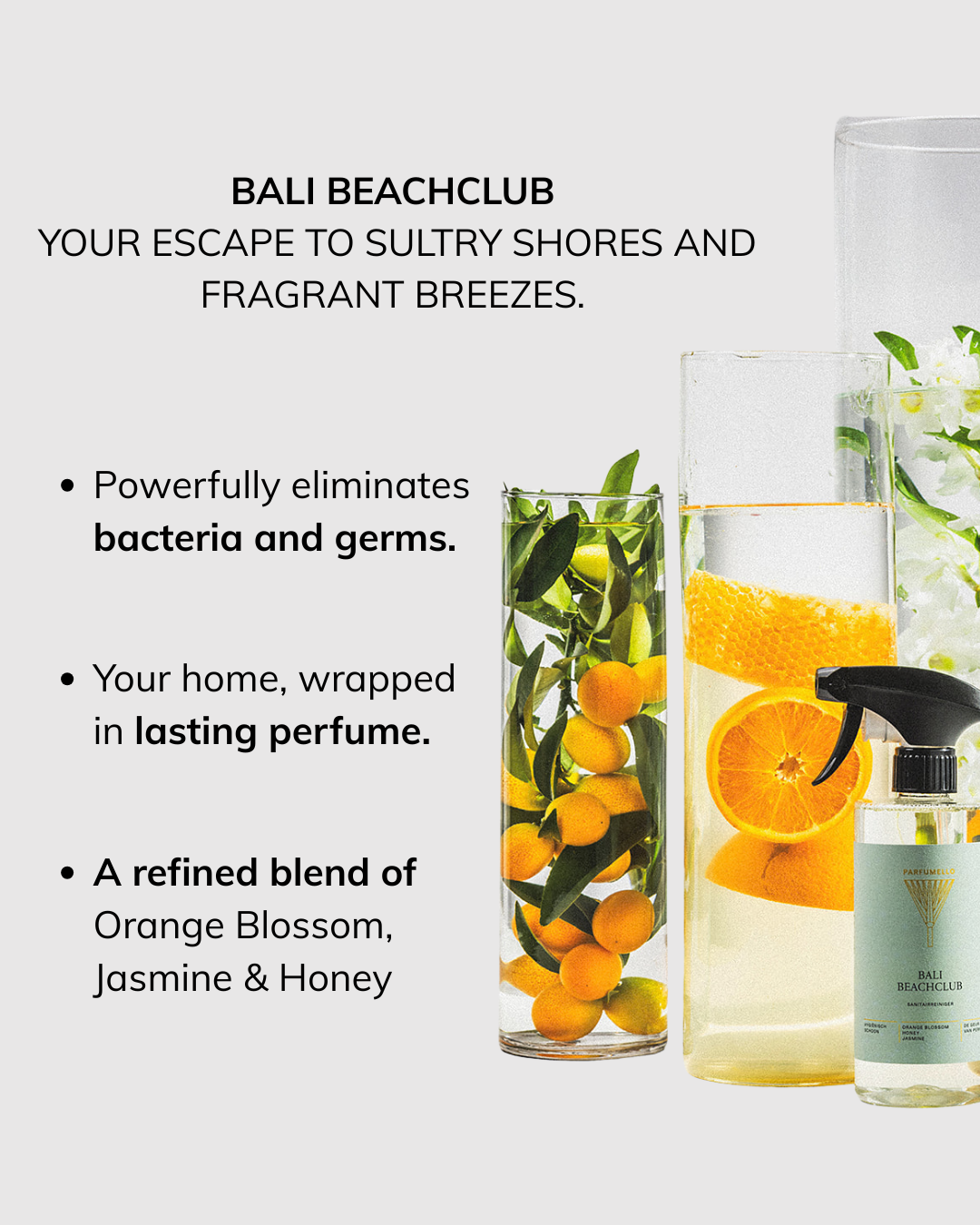 Sanitary cleaner Bali Beachclub