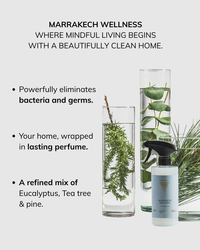 Sanitary cleaner Marrakech Wellness