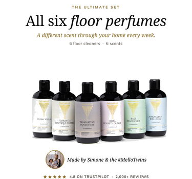 The ultimate floor cleaner set