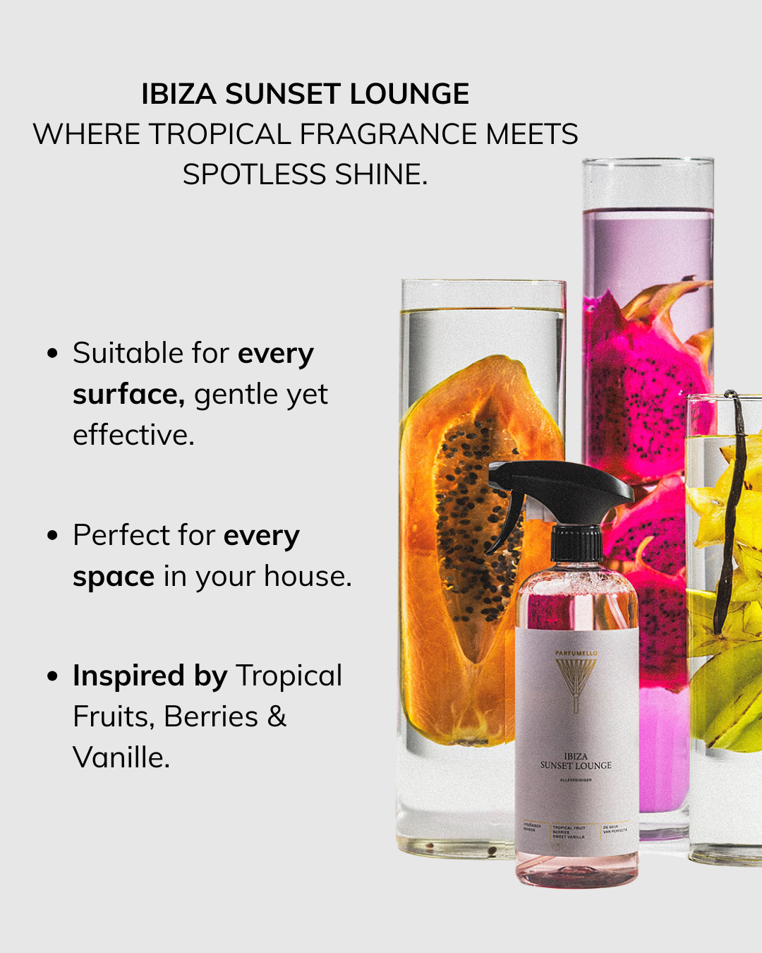 Surface cleaner Ibiza Sunset Lounge