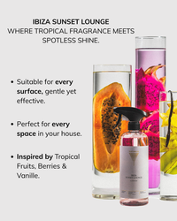 Surface cleaner Ibiza Sunset Lounge