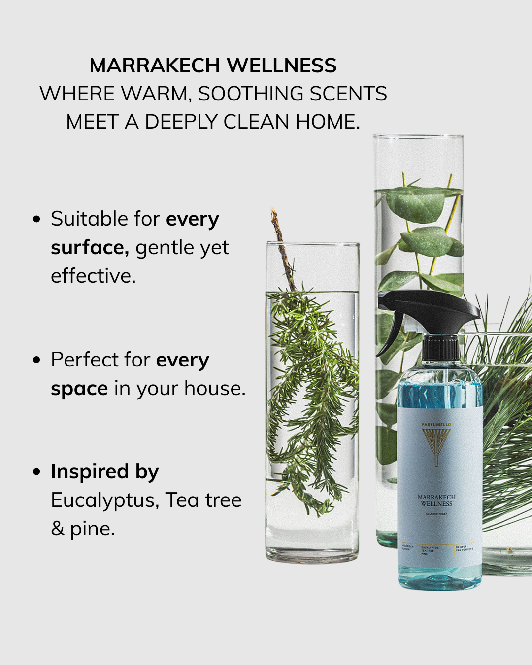 Surface cleaner Marrakech Wellness