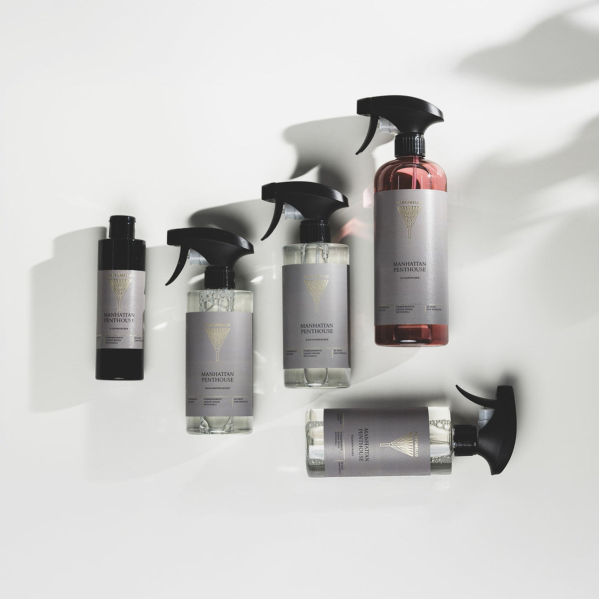 Bathroom cleaner Manhattan Penthouse