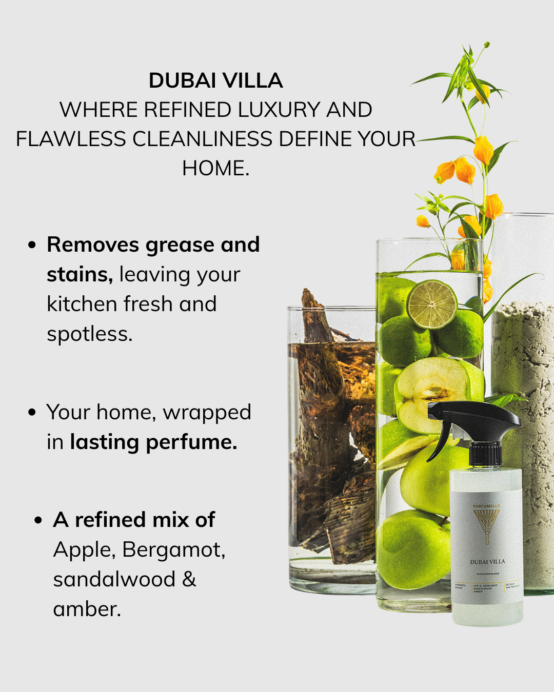 Kitchen cleaner Dubai Villa