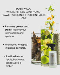 Kitchen cleaner Dubai Villa